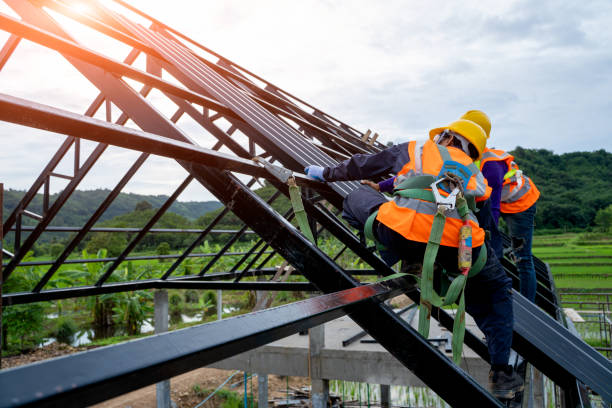 Best Roof Waterproofing Services  in Chalco, NE