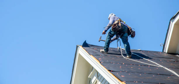 Best Roof Maintenance Services  in Chalco, NE